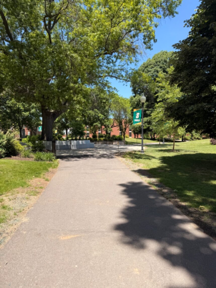 Caminho entre árvores no campus da Siena College