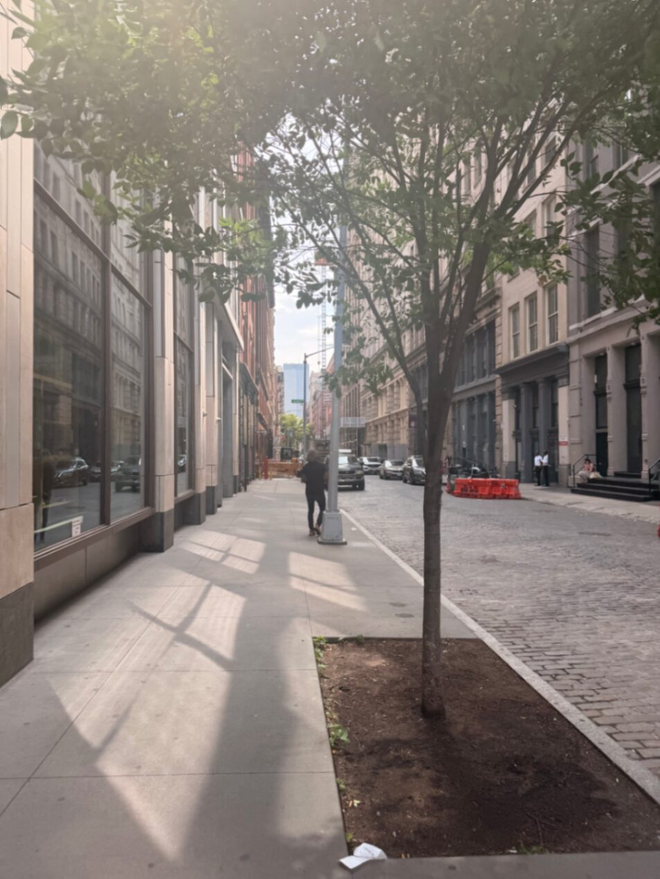 Calçada arborizada em rua de paralelepípedo em Manhattan